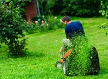 Kwikfynd Lawn Mowing
wandown