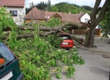 Kwikfynd Tree Cutting Services
wandown