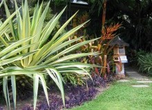 Kwikfynd Tropical Landscaping
wandown